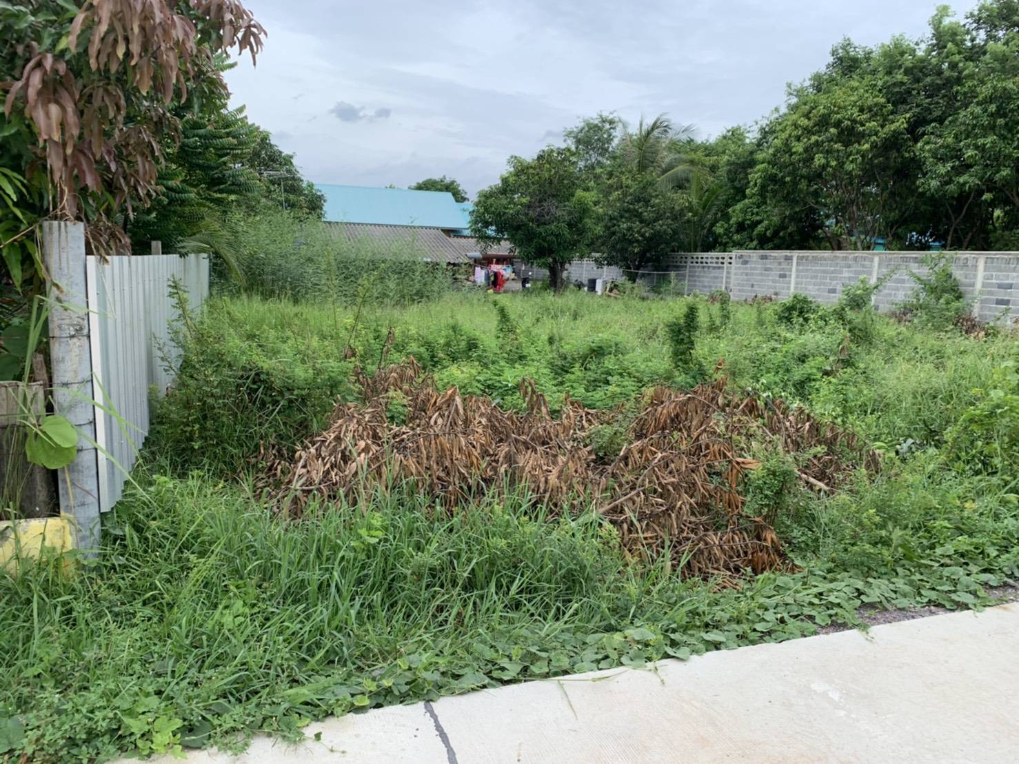 ประกาศฟรี! ซื้อ-ขาย-เช่า คอนโด บ้าน ทาวน์โฮม ที่ดิน และพื้นที่เชิงพาณิชย์ทั่วประเทศไทย ทุกทำเล ทุกงบประมาณ ไม่มีค่าใช้จ่าย ลงง่าย ขายไว เข้าถึงผู้ซื้อโดยตรง 3 294200pic2.jpg