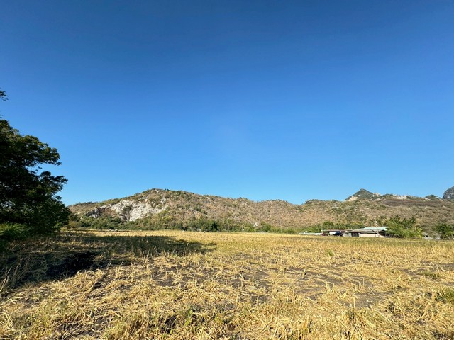 ประกาศฟรี! ซื้อ-ขาย-เช่า คอนโด บ้าน ทาวน์โฮม ที่ดิน และพื้นที่เชิงพาณิชย์ทั่วประเทศไทย ทุกทำเล ทุกงบประมาณ ไม่มีค่าใช้จ่าย ลงง่าย ขายไว เข้าถึงผู้ซื้อโดยตรง 3 316383pic2.jpg