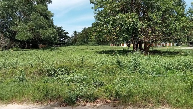 ประกาศฟรี! ซื้อ-ขาย-เช่า คอนโด บ้าน ทาวน์โฮม ที่ดิน และพื้นที่เชิงพาณิชย์ทั่วประเทศไทย ทุกทำเล ทุกงบประมาณ ไม่มีค่าใช้จ่าย ลงง่าย ขายไว เข้าถึงผู้ซื้อโดยตรง 2 255498pic1.jpg