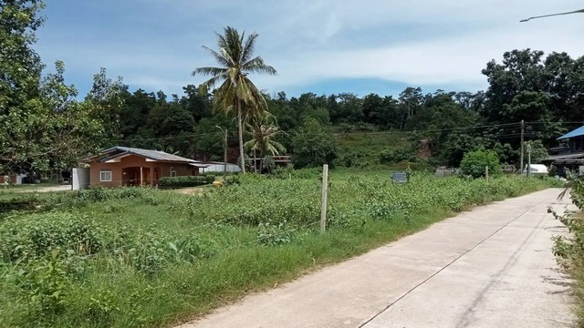 ประกาศฟรี! ซื้อ-ขาย-เช่า คอนโด บ้าน ทาวน์โฮม ที่ดิน และพื้นที่เชิงพาณิชย์ทั่วประเทศไทย ทุกทำเล ทุกงบประมาณ ไม่มีค่าใช้จ่าย ลงง่าย ขายไว เข้าถึงผู้ซื้อโดยตรง 4 255498pic3.jpg