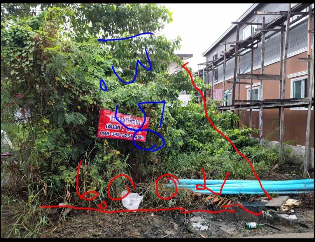 ประกาศฟรี! ซื้อ-ขาย-เช่า คอนโด บ้าน ทาวน์โฮม ที่ดิน และพื้นที่เชิงพาณิชย์ทั่วประเทศไทย ทุกทำเล ทุกงบประมาณ ไม่มีค่าใช้จ่าย ลงง่าย ขายไว เข้าถึงผู้ซื้อโดยตรง 3 316317pic2.jpg