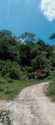 ประกาศฟรี! ซื้อ-ขาย-เช่า คอนโด บ้าน ทาวน์โฮม ที่ดิน และพื้นที่เชิงพาณิชย์ทั่วประเทศไทย ทุกทำเล ทุกงบประมาณ ไม่มีค่าใช้จ่าย ลงง่าย ขายไว เข้าถึงผู้ซื้อโดยตรง 3 316434pic2.jpg