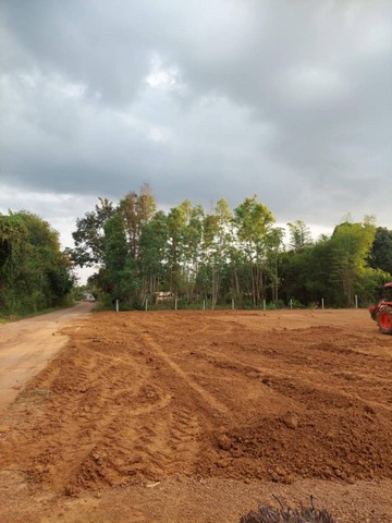 ประกาศฟรี! ซื้อ-ขาย-เช่า คอนโด บ้าน ทาวน์โฮม ที่ดิน และพื้นที่เชิงพาณิชย์ทั่วประเทศไทย ทุกทำเล ทุกงบประมาณ ไม่มีค่าใช้จ่าย ลงง่าย ขายไว เข้าถึงผู้ซื้อโดยตรง 5 255760pic4.jpg