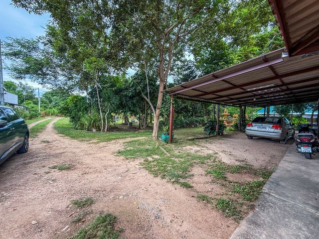 ประกาศฟรี! ซื้อ-ขาย-เช่า คอนโด บ้าน ทาวน์โฮม ที่ดิน และพื้นที่เชิงพาณิชย์ทั่วประเทศไทย ทุกทำเล ทุกงบประมาณ ไม่มีค่าใช้จ่าย ลงง่าย ขายไว เข้าถึงผู้ซื้อโดยตรง 5 298164pic4.jpg