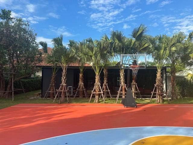 ประกาศฟรี! ซื้อ-ขาย-เช่า คอนโด บ้าน ทาวน์โฮม ที่ดิน และพื้นที่เชิงพาณิชย์ทั่วประเทศไทย ทุกทำเล ทุกงบประมาณ ไม่มีค่าใช้จ่าย ลงง่าย ขายไว เข้าถึงผู้ซื้อโดยตรง 5 516478pic4.jpg