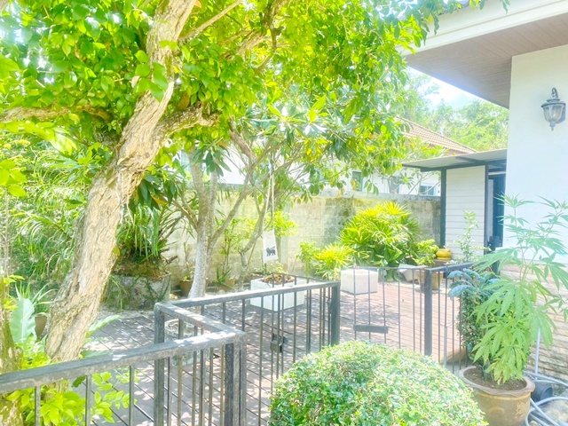 ประกาศฟรี! ซื้อ-ขาย-เช่า คอนโด บ้าน ทาวน์โฮม ที่ดิน และพื้นที่เชิงพาณิชย์ทั่วประเทศไทย ทุกทำเล ทุกงบประมาณ ไม่มีค่าใช้จ่าย ลงง่าย ขายไว เข้าถึงผู้ซื้อโดยตรง 5 316373pic4.jpg