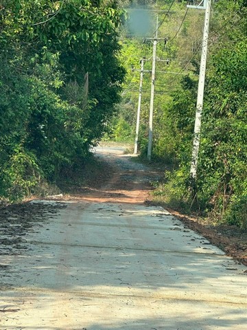 ประกาศฟรี! ซื้อ-ขาย-เช่า คอนโด บ้าน ทาวน์โฮม ที่ดิน และพื้นที่เชิงพาณิชย์ทั่วประเทศไทย ทุกทำเล ทุกงบประมาณ ไม่มีค่าใช้จ่าย ลงง่าย ขายไว เข้าถึงผู้ซื้อโดยตรง 5 316501pic4.jpg