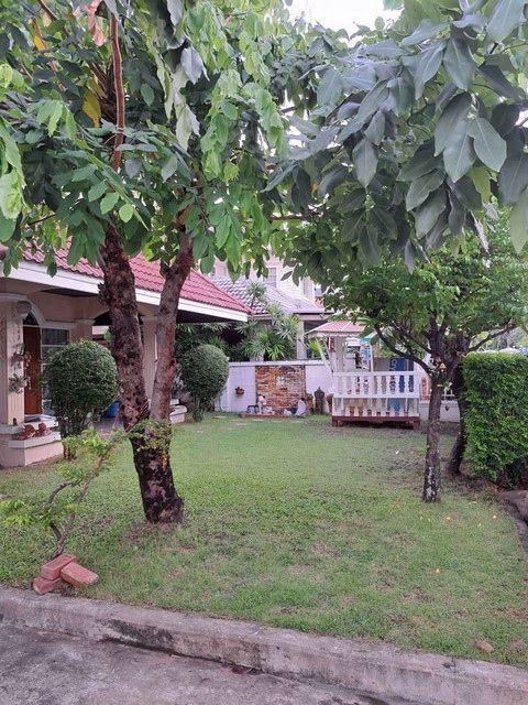 ประกาศฟรี! ซื้อ-ขาย-เช่า คอนโด บ้าน ทาวน์โฮม ที่ดิน และพื้นที่เชิงพาณิชย์ทั่วประเทศไทย ทุกทำเล ทุกงบประมาณ ไม่มีค่าใช้จ่าย ลงง่าย ขายไว เข้าถึงผู้ซื้อโดยตรง 3 516595pic2.jpg