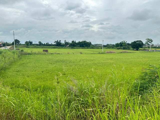 ประกาศฟรี! ซื้อ-ขาย-เช่า คอนโด บ้าน ทาวน์โฮม ที่ดิน และพื้นที่เชิงพาณิชย์ทั่วประเทศไทย ทุกทำเล ทุกงบประมาณ ไม่มีค่าใช้จ่าย ลงง่าย ขายไว เข้าถึงผู้ซื้อโดยตรง 2 16759pic1.jpg