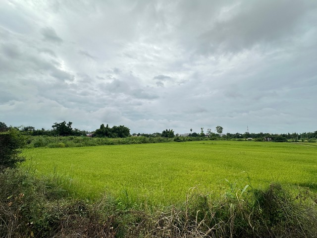 ประกาศฟรี! ซื้อ-ขาย-เช่า คอนโด บ้าน ทาวน์โฮม ที่ดิน และพื้นที่เชิงพาณิชย์ทั่วประเทศไทย ทุกทำเล ทุกงบประมาณ ไม่มีค่าใช้จ่าย ลงง่าย ขายไว เข้าถึงผู้ซื้อโดยตรง 3 16759pic2.jpg