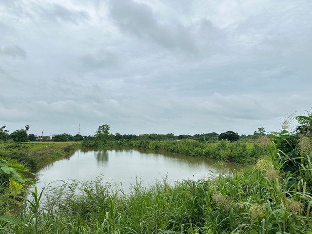 ประกาศฟรี! ซื้อ-ขาย-เช่า คอนโด บ้าน ทาวน์โฮม ที่ดิน และพื้นที่เชิงพาณิชย์ทั่วประเทศไทย ทุกทำเล ทุกงบประมาณ ไม่มีค่าใช้จ่าย ลงง่าย ขายไว เข้าถึงผู้ซื้อโดยตรง 4 16759pic3.jpg