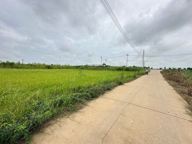 ประกาศฟรี! ซื้อ-ขาย-เช่า คอนโด บ้าน ทาวน์โฮม ที่ดิน และพื้นที่เชิงพาณิชย์ทั่วประเทศไทย ทุกทำเล ทุกงบประมาณ ไม่มีค่าใช้จ่าย ลงง่าย ขายไว เข้าถึงผู้ซื้อโดยตรง 5 16759pic4.jpg