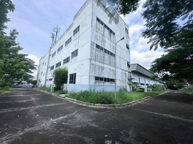 ประกาศฟรี! ซื้อ-ขาย-เช่า คอนโด บ้าน ทาวน์โฮม ที่ดิน และพื้นที่เชิงพาณิชย์ทั่วประเทศไทย ทุกทำเล ทุกงบประมาณ ไม่มีค่าใช้จ่าย ลงง่าย ขายไว เข้าถึงผู้ซื้อโดยตรง 3 501323pic2.jpg