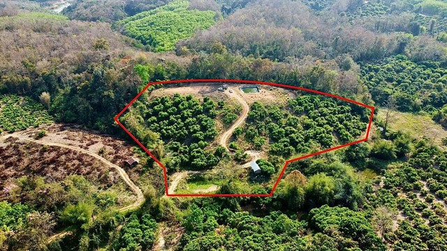 ประกาศฟรี! ซื้อ-ขาย-เช่า คอนโด บ้าน ทาวน์โฮม ที่ดิน และพื้นที่เชิงพาณิชย์ทั่วประเทศไทย ทุกทำเล ทุกงบประมาณ ไม่มีค่าใช้จ่าย ลงง่าย ขายไว เข้าถึงผู้ซื้อโดยตรง 2 255860pic1.jpg