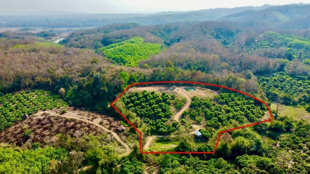 ประกาศฟรี! ซื้อ-ขาย-เช่า คอนโด บ้าน ทาวน์โฮม ที่ดิน และพื้นที่เชิงพาณิชย์ทั่วประเทศไทย ทุกทำเล ทุกงบประมาณ ไม่มีค่าใช้จ่าย ลงง่าย ขายไว เข้าถึงผู้ซื้อโดยตรง 3 255860pic2.jpg