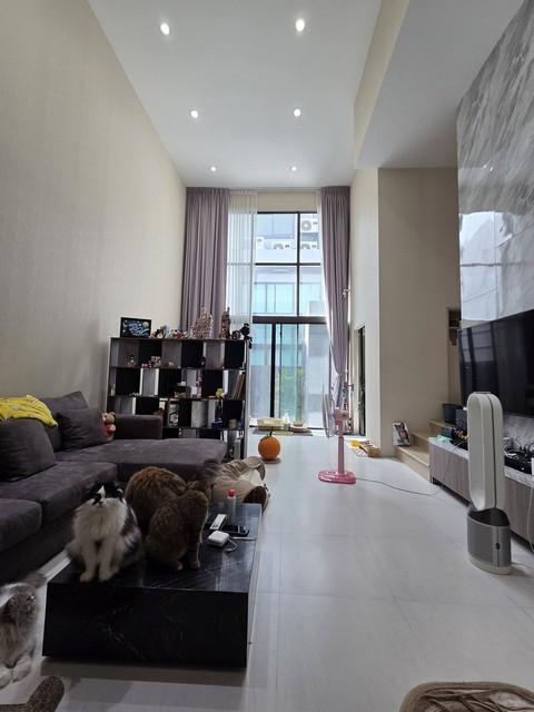 ประกาศฟรี! ซื้อ-ขาย-เช่า คอนโด บ้าน ทาวน์โฮม ที่ดิน และพื้นที่เชิงพาณิชย์ทั่วประเทศไทย ทุกทำเล ทุกงบประมาณ ไม่มีค่าใช้จ่าย ลงง่าย ขายไว เข้าถึงผู้ซื้อโดยตรง 5 514978pic4.jpg