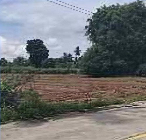 ประกาศฟรี! ซื้อ-ขาย-เช่า คอนโด บ้าน ทาวน์โฮม ที่ดิน และพื้นที่เชิงพาณิชย์ทั่วประเทศไทย ทุกทำเล ทุกงบประมาณ ไม่มีค่าใช้จ่าย ลงง่าย ขายไว เข้าถึงผู้ซื้อโดยตรง 3 316555pic2.jpg