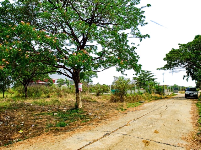 ประกาศฟรี! ซื้อ-ขาย-เช่า คอนโด บ้าน ทาวน์โฮม ที่ดิน และพื้นที่เชิงพาณิชย์ทั่วประเทศไทย ทุกทำเล ทุกงบประมาณ ไม่มีค่าใช้จ่าย ลงง่าย ขายไว เข้าถึงผู้ซื้อโดยตรง 2 515066pic1.jpg