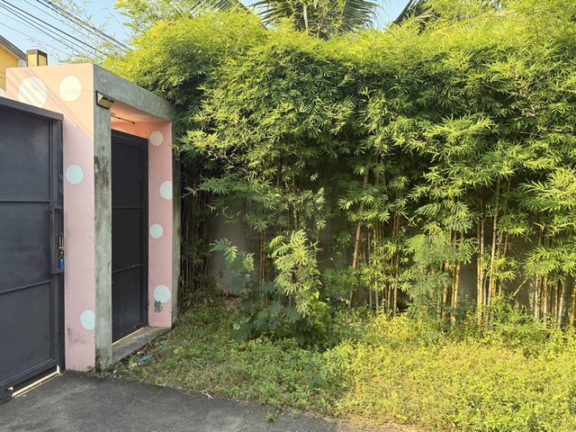 ประกาศฟรี! ซื้อ-ขาย-เช่า คอนโด บ้าน ทาวน์โฮม ที่ดิน และพื้นที่เชิงพาณิชย์ทั่วประเทศไทย ทุกทำเล ทุกงบประมาณ ไม่มีค่าใช้จ่าย ลงง่าย ขายไว เข้าถึงผู้ซื้อโดยตรง 5 512204pic4.jpg