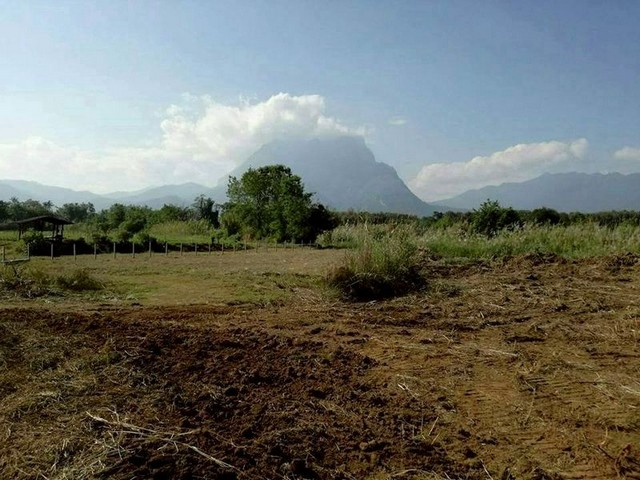 ประกาศฟรี! ซื้อ-ขาย-เช่า คอนโด บ้าน ทาวน์โฮม ที่ดิน และพื้นที่เชิงพาณิชย์ทั่วประเทศไทย ทุกทำเล ทุกงบประมาณ ไม่มีค่าใช้จ่าย ลงง่าย ขายไว เข้าถึงผู้ซื้อโดยตรง 3 255903pic2.jpg