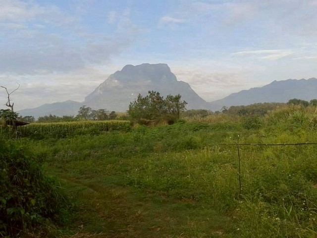 ประกาศฟรี! ซื้อ-ขาย-เช่า คอนโด บ้าน ทาวน์โฮม ที่ดิน และพื้นที่เชิงพาณิชย์ทั่วประเทศไทย ทุกทำเล ทุกงบประมาณ ไม่มีค่าใช้จ่าย ลงง่าย ขายไว เข้าถึงผู้ซื้อโดยตรง 4 255903pic3.jpg