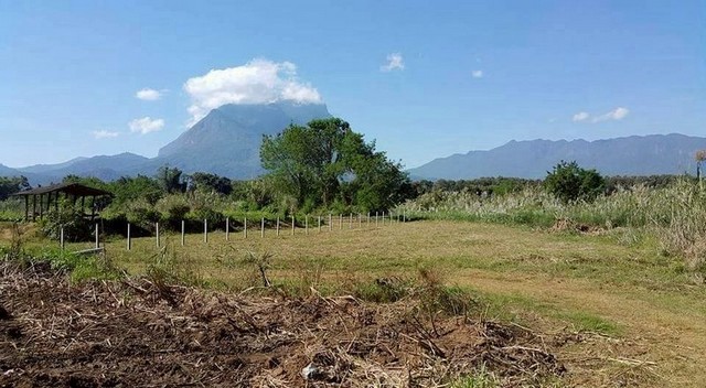 ประกาศฟรี! ซื้อ-ขาย-เช่า คอนโด บ้าน ทาวน์โฮม ที่ดิน และพื้นที่เชิงพาณิชย์ทั่วประเทศไทย ทุกทำเล ทุกงบประมาณ ไม่มีค่าใช้จ่าย ลงง่าย ขายไว เข้าถึงผู้ซื้อโดยตรง 5 255903pic4.jpg