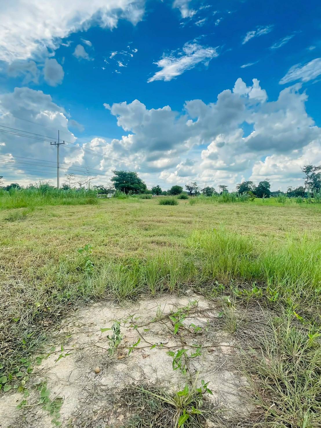 ประกาศฟรี! ซื้อ-ขาย-เช่า คอนโด บ้าน ทาวน์โฮม ที่ดิน และพื้นที่เชิงพาณิชย์ทั่วประเทศไทย ทุกทำเล ทุกงบประมาณ ไม่มีค่าใช้จ่าย ลงง่าย ขายไว เข้าถึงผู้ซื้อโดยตรง 2 316448pic1.jpg