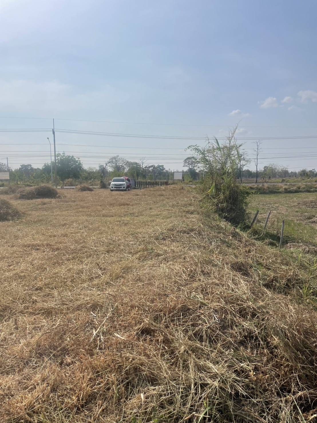 ประกาศฟรี! ซื้อ-ขาย-เช่า คอนโด บ้าน ทาวน์โฮม ที่ดิน และพื้นที่เชิงพาณิชย์ทั่วประเทศไทย ทุกทำเล ทุกงบประมาณ ไม่มีค่าใช้จ่าย ลงง่าย ขายไว เข้าถึงผู้ซื้อโดยตรง 4 316448pic3.jpg