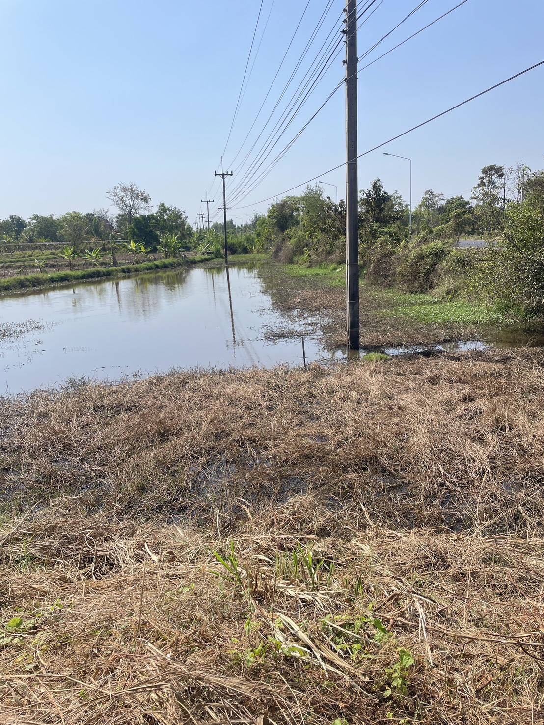 ประกาศฟรี! ซื้อ-ขาย-เช่า คอนโด บ้าน ทาวน์โฮม ที่ดิน และพื้นที่เชิงพาณิชย์ทั่วประเทศไทย ทุกทำเล ทุกงบประมาณ ไม่มีค่าใช้จ่าย ลงง่าย ขายไว เข้าถึงผู้ซื้อโดยตรง 5 316448pic4.jpg