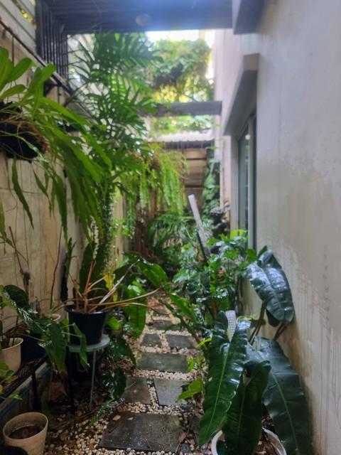 ประกาศฟรี! ซื้อ-ขาย-เช่า คอนโด บ้าน ทาวน์โฮม ที่ดิน และพื้นที่เชิงพาณิชย์ทั่วประเทศไทย ทุกทำเล ทุกงบประมาณ ไม่มีค่าใช้จ่าย ลงง่าย ขายไว เข้าถึงผู้ซื้อโดยตรง 4 515218pic3.jpg