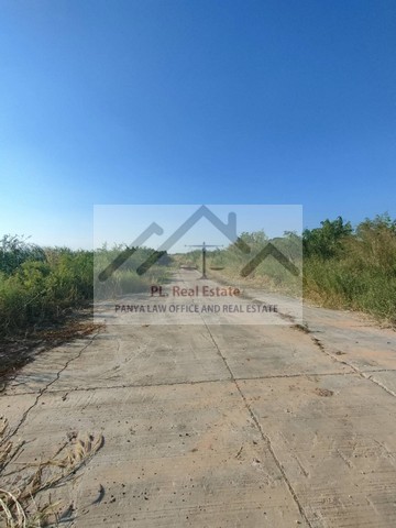 ประกาศฟรี! ซื้อ-ขาย-เช่า คอนโด บ้าน ทาวน์โฮม ที่ดิน และพื้นที่เชิงพาณิชย์ทั่วประเทศไทย ทุกทำเล ทุกงบประมาณ ไม่มีค่าใช้จ่าย ลงง่าย ขายไว เข้าถึงผู้ซื้อโดยตรง 2 513685pic1.jpg