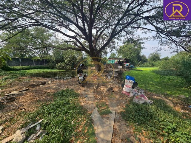 ประกาศฟรี! ซื้อ-ขาย-เช่า คอนโด บ้าน ทาวน์โฮม ที่ดิน และพื้นที่เชิงพาณิชย์ทั่วประเทศไทย ทุกทำเล ทุกงบประมาณ ไม่มีค่าใช้จ่าย ลงง่าย ขายไว เข้าถึงผู้ซื้อโดยตรง 5 516926pic4.jpg