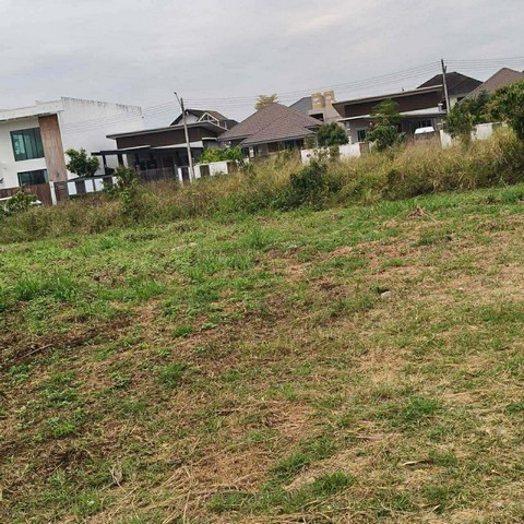 ประกาศฟรี! ซื้อ-ขาย-เช่า คอนโด บ้าน ทาวน์โฮม ที่ดิน และพื้นที่เชิงพาณิชย์ทั่วประเทศไทย ทุกทำเล ทุกงบประมาณ ไม่มีค่าใช้จ่าย ลงง่าย ขายไว เข้าถึงผู้ซื้อโดยตรง 2 256534pic1.jpg