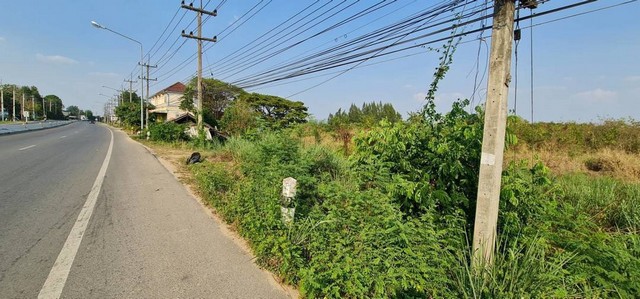 ประกาศฟรี! ซื้อ-ขาย-เช่า คอนโด บ้าน ทาวน์โฮม ที่ดิน และพื้นที่เชิงพาณิชย์ทั่วประเทศไทย ทุกทำเล ทุกงบประมาณ ไม่มีค่าใช้จ่าย ลงง่าย ขายไว เข้าถึงผู้ซื้อโดยตรง 5 256537pic4.jpg