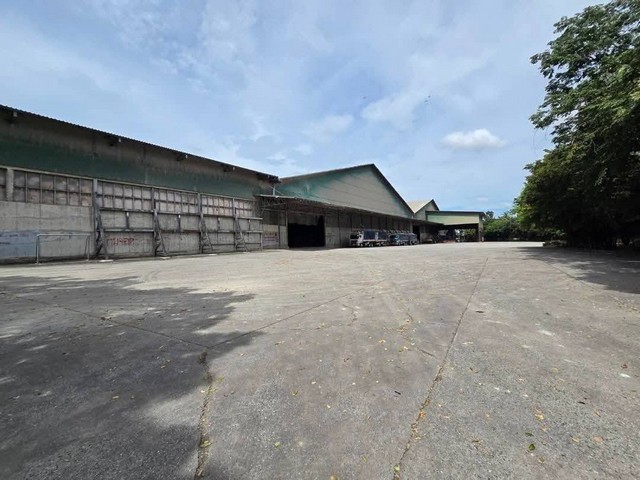 ประกาศฟรี! ซื้อ-ขาย-เช่า คอนโด บ้าน ทาวน์โฮม ที่ดิน และพื้นที่เชิงพาณิชย์ทั่วประเทศไทย ทุกทำเล ทุกงบประมาณ ไม่มีค่าใช้จ่าย ลงง่าย ขายไว เข้าถึงผู้ซื้อโดยตรง 2 256548pic1.jpg