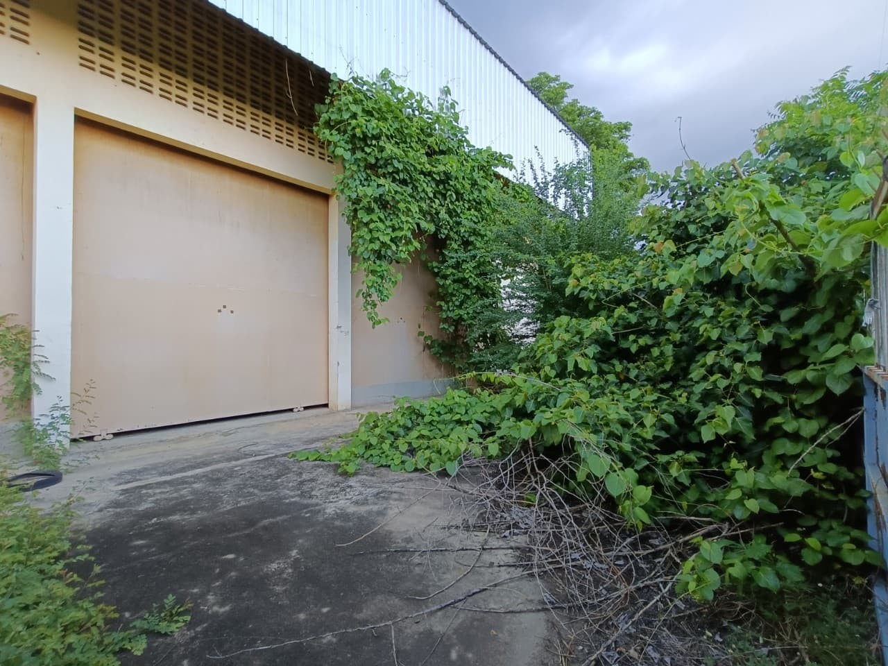 ประกาศฟรี! ซื้อ-ขาย-เช่า คอนโด บ้าน ทาวน์โฮม ที่ดิน และพื้นที่เชิงพาณิชย์ทั่วประเทศไทย ทุกทำเล ทุกงบประมาณ ไม่มีค่าใช้จ่าย ลงง่าย ขายไว เข้าถึงผู้ซื้อโดยตรง 4 255754pic3.jpg