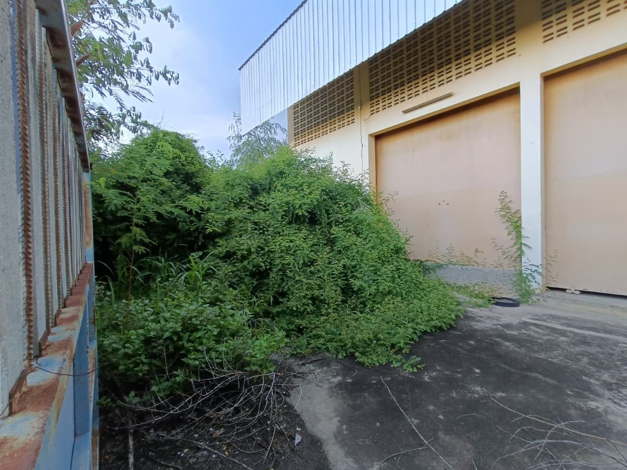 ประกาศฟรี! ซื้อ-ขาย-เช่า คอนโด บ้าน ทาวน์โฮม ที่ดิน และพื้นที่เชิงพาณิชย์ทั่วประเทศไทย ทุกทำเล ทุกงบประมาณ ไม่มีค่าใช้จ่าย ลงง่าย ขายไว เข้าถึงผู้ซื้อโดยตรง 5 255754pic4.jpg