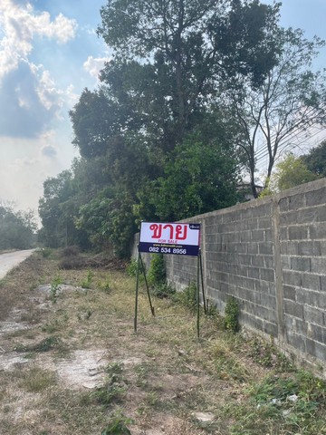 ประกาศฟรี! ซื้อ-ขาย-เช่า คอนโด บ้าน ทาวน์โฮม ที่ดิน และพื้นที่เชิงพาณิชย์ทั่วประเทศไทย ทุกทำเล ทุกงบประมาณ ไม่มีค่าใช้จ่าย ลงง่าย ขายไว เข้าถึงผู้ซื้อโดยตรง 2 316625pic1.jpg