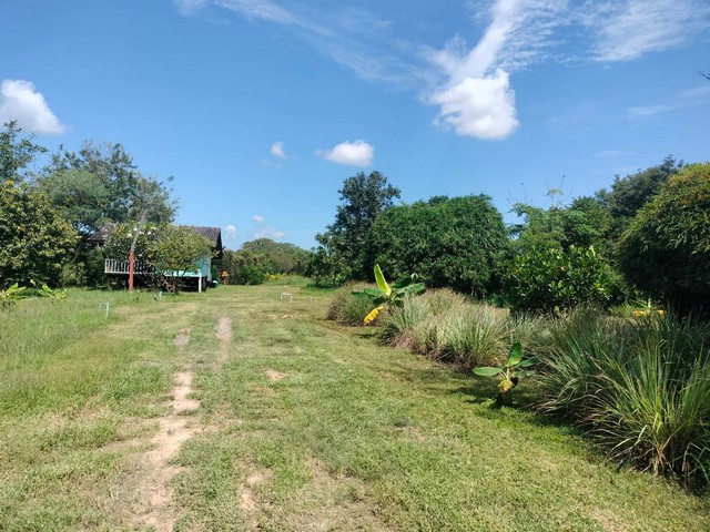 ประกาศฟรี! ซื้อ-ขาย-เช่า คอนโด บ้าน ทาวน์โฮม ที่ดิน และพื้นที่เชิงพาณิชย์ทั่วประเทศไทย ทุกทำเล ทุกงบประมาณ ไม่มีค่าใช้จ่าย ลงง่าย ขายไว เข้าถึงผู้ซื้อโดยตรง 3 316624pic2.jpg