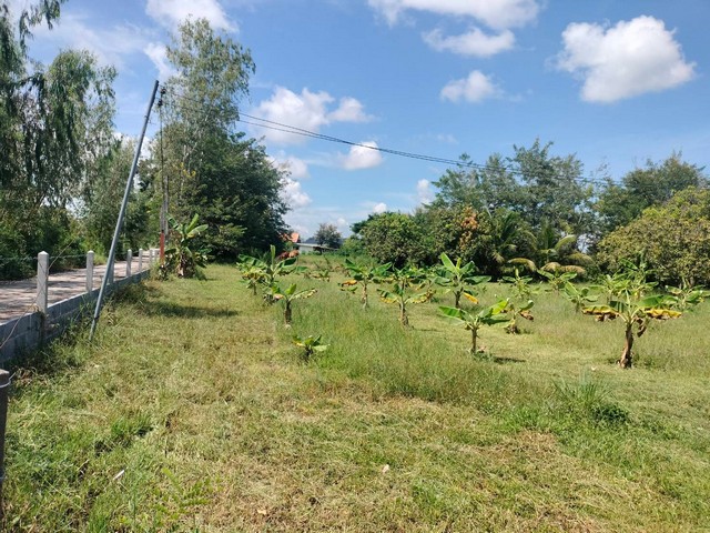 ประกาศฟรี! ซื้อ-ขาย-เช่า คอนโด บ้าน ทาวน์โฮม ที่ดิน และพื้นที่เชิงพาณิชย์ทั่วประเทศไทย ทุกทำเล ทุกงบประมาณ ไม่มีค่าใช้จ่าย ลงง่าย ขายไว เข้าถึงผู้ซื้อโดยตรง 4 316624pic3.jpg