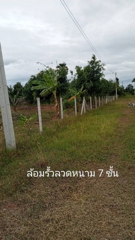 ประกาศฟรี! ซื้อ-ขาย-เช่า คอนโด บ้าน ทาวน์โฮม ที่ดิน และพื้นที่เชิงพาณิชย์ทั่วประเทศไทย ทุกทำเล ทุกงบประมาณ ไม่มีค่าใช้จ่าย ลงง่าย ขายไว เข้าถึงผู้ซื้อโดยตรง 4 294238pic3.jpg