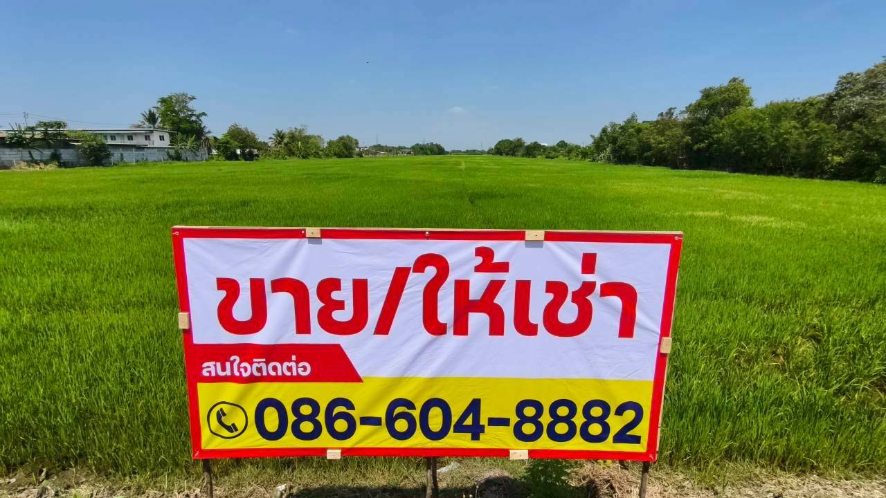 ประกาศฟรี! ซื้อ-ขาย-เช่า คอนโด บ้าน ทาวน์โฮม ที่ดิน และพื้นที่เชิงพาณิชย์ทั่วประเทศไทย ทุกทำเล ทุกงบประมาณ ไม่มีค่าใช้จ่าย ลงง่าย ขายไว เข้าถึงผู้ซื้อโดยตรง 2 316654pic1.jpg