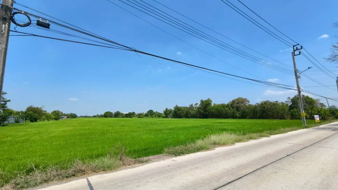 ประกาศฟรี! ซื้อ-ขาย-เช่า คอนโด บ้าน ทาวน์โฮม ที่ดิน และพื้นที่เชิงพาณิชย์ทั่วประเทศไทย ทุกทำเล ทุกงบประมาณ ไม่มีค่าใช้จ่าย ลงง่าย ขายไว เข้าถึงผู้ซื้อโดยตรง 5 316654pic4.jpg