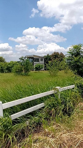 ประกาศฟรี! ซื้อ-ขาย-เช่า คอนโด บ้าน ทาวน์โฮม ที่ดิน และพื้นที่เชิงพาณิชย์ทั่วประเทศไทย ทุกทำเล ทุกงบประมาณ ไม่มีค่าใช้จ่าย ลงง่าย ขายไว เข้าถึงผู้ซื้อโดยตรง 2 316685pic1.jpg