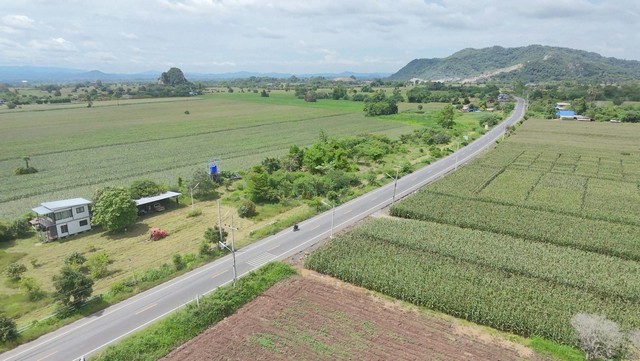 ประกาศฟรี! ซื้อ-ขาย-เช่า คอนโด บ้าน ทาวน์โฮม ที่ดิน และพื้นที่เชิงพาณิชย์ทั่วประเทศไทย ทุกทำเล ทุกงบประมาณ ไม่มีค่าใช้จ่าย ลงง่าย ขายไว เข้าถึงผู้ซื้อโดยตรง 5 316685pic4.jpg