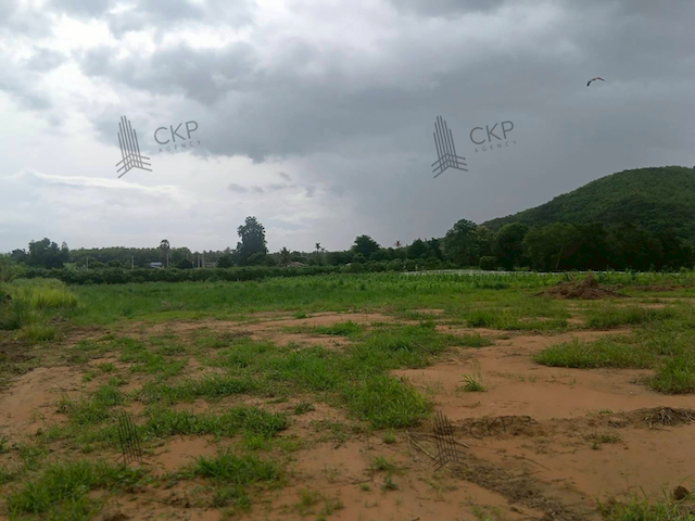 ประกาศฟรี! ซื้อ-ขาย-เช่า คอนโด บ้าน ทาวน์โฮม ที่ดิน และพื้นที่เชิงพาณิชย์ทั่วประเทศไทย ทุกทำเล ทุกงบประมาณ ไม่มีค่าใช้จ่าย ลงง่าย ขายไว เข้าถึงผู้ซื้อโดยตรง 2 290990pic1.jpg