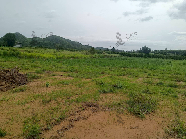 ประกาศฟรี! ซื้อ-ขาย-เช่า คอนโด บ้าน ทาวน์โฮม ที่ดิน และพื้นที่เชิงพาณิชย์ทั่วประเทศไทย ทุกทำเล ทุกงบประมาณ ไม่มีค่าใช้จ่าย ลงง่าย ขายไว เข้าถึงผู้ซื้อโดยตรง 3 290990pic2.jpg