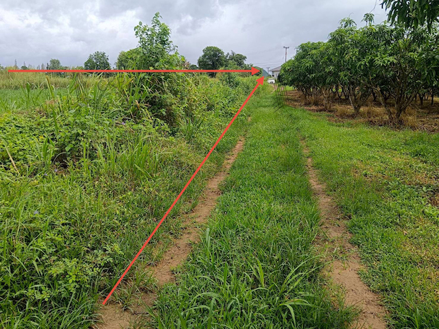 ประกาศฟรี! ซื้อ-ขาย-เช่า คอนโด บ้าน ทาวน์โฮม ที่ดิน และพื้นที่เชิงพาณิชย์ทั่วประเทศไทย ทุกทำเล ทุกงบประมาณ ไม่มีค่าใช้จ่าย ลงง่าย ขายไว เข้าถึงผู้ซื้อโดยตรง 4 290990pic3.jpg