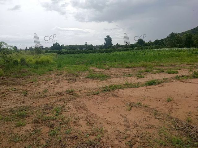 ประกาศฟรี! ซื้อ-ขาย-เช่า คอนโด บ้าน ทาวน์โฮม ที่ดิน และพื้นที่เชิงพาณิชย์ทั่วประเทศไทย ทุกทำเล ทุกงบประมาณ ไม่มีค่าใช้จ่าย ลงง่าย ขายไว เข้าถึงผู้ซื้อโดยตรง 5 290990pic4.jpg