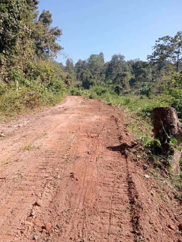 ประกาศฟรี! ซื้อ-ขาย-เช่า คอนโด บ้าน ทาวน์โฮม ที่ดิน และพื้นที่เชิงพาณิชย์ทั่วประเทศไทย ทุกทำเล ทุกงบประมาณ ไม่มีค่าใช้จ่าย ลงง่าย ขายไว เข้าถึงผู้ซื้อโดยตรง 3 256654pic2.jpg